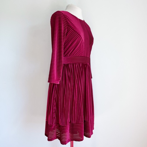 Copper Key Berry Velvet Stripe Dress - Picture 6 of 11